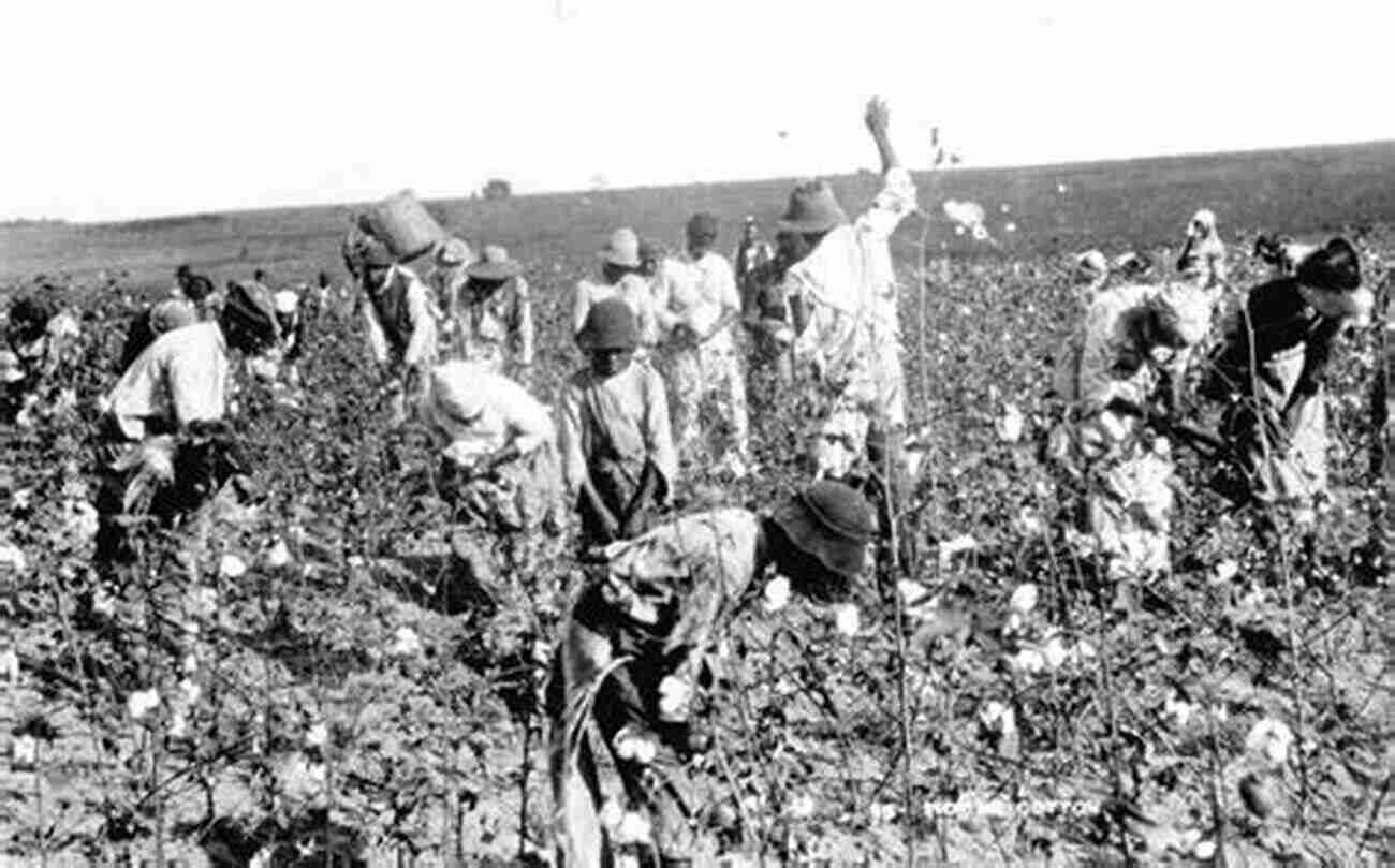 Image Of Ebony Noel Working In A Cotton Field On A Florida Plantation In The Spring Of 1834 Diary Of A Black Seminole Girl Ebony Noel (Spring 1834 Florida) (Plantations And Pirates 7)