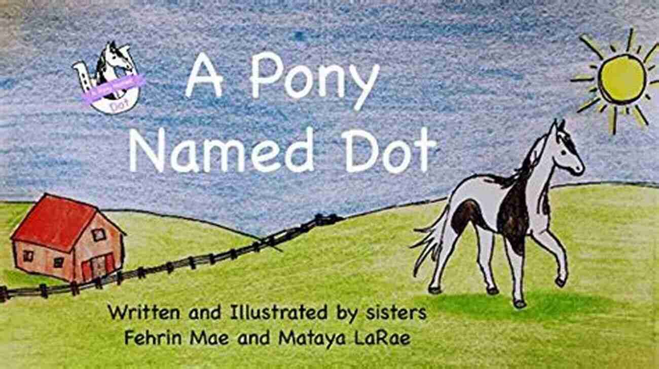 Image Of A Pony Named Dot Fehrin Brindley A Pony Named Dot Fehrin Brindley