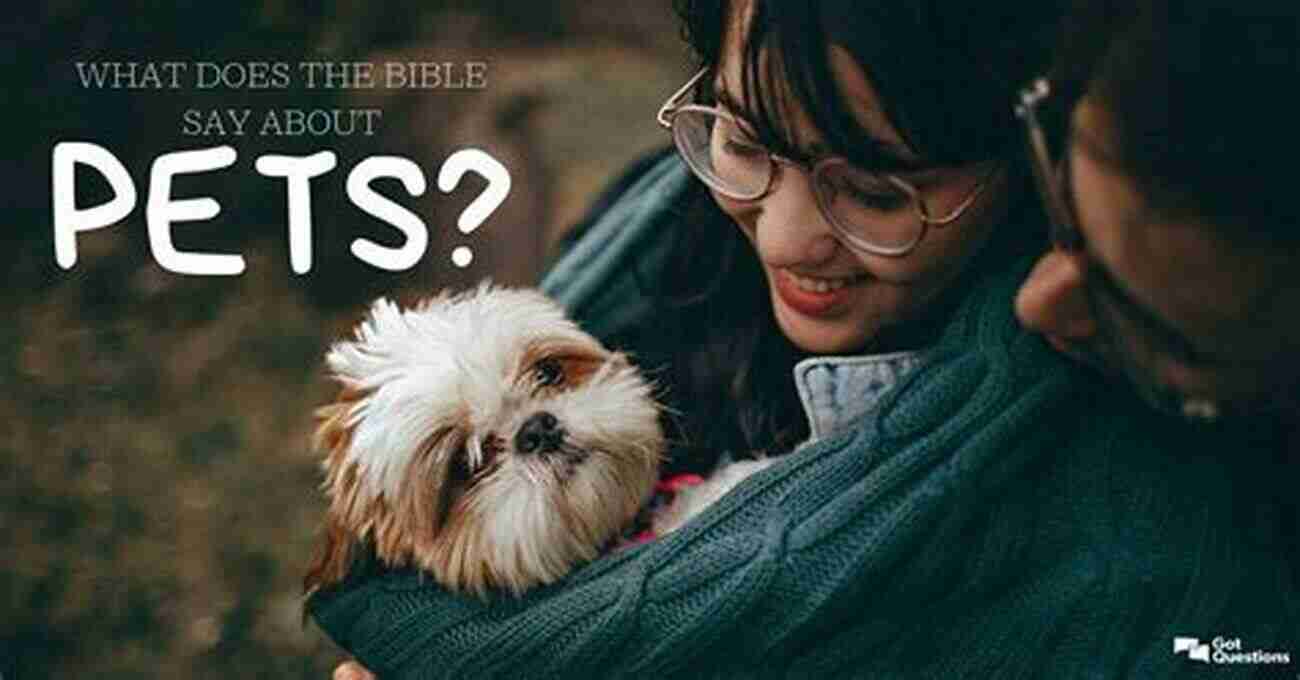 Is My Dog In Heaven? The Biblical Answer Investigating What The Bible Says About Pets In The Afterlife Is My Dog In Heaven?: The Biblical Answer