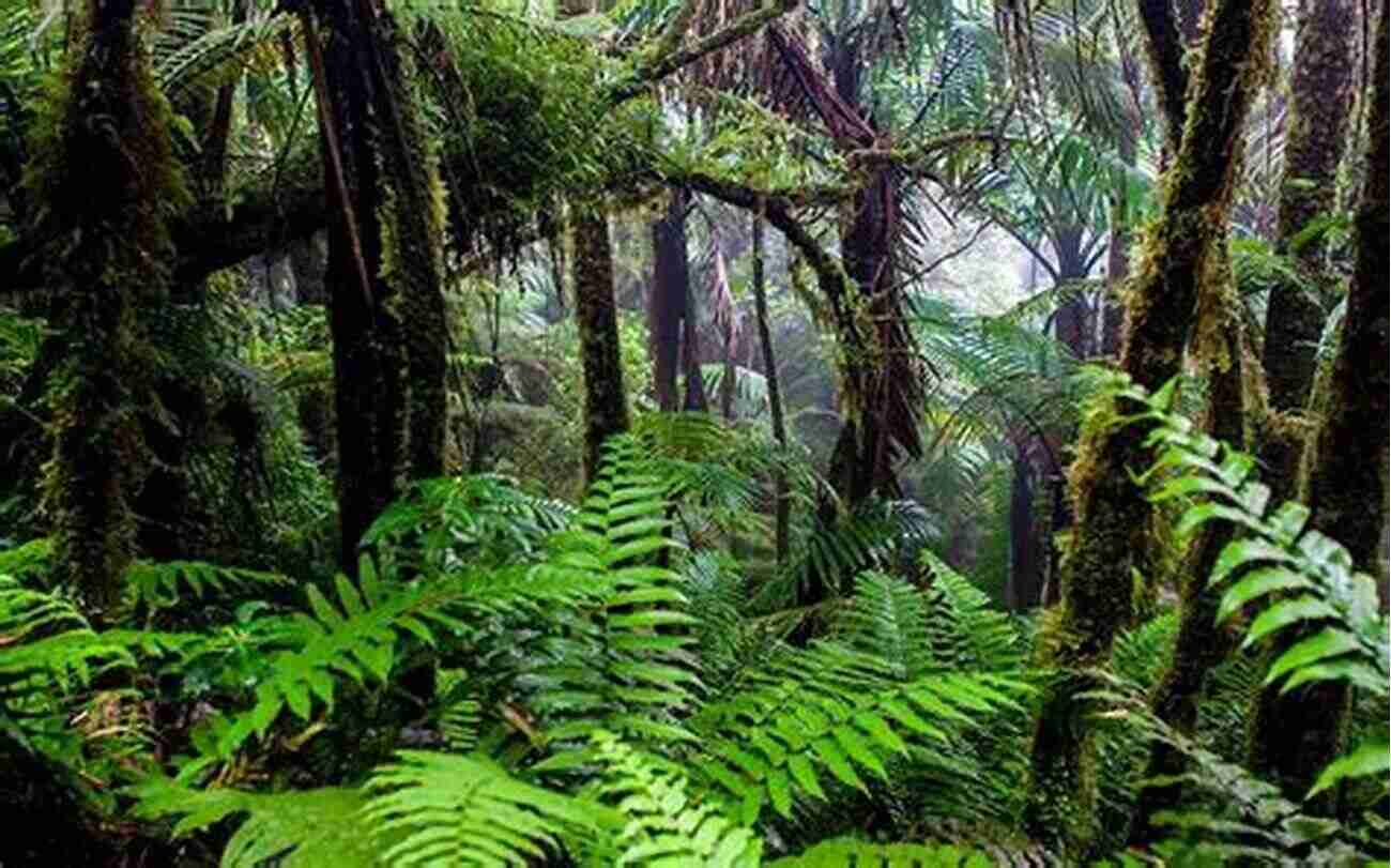 Lush Green Forest With Diverse Flora Hen S Teeth And Horse S Toes: Further Reflections In Natural History