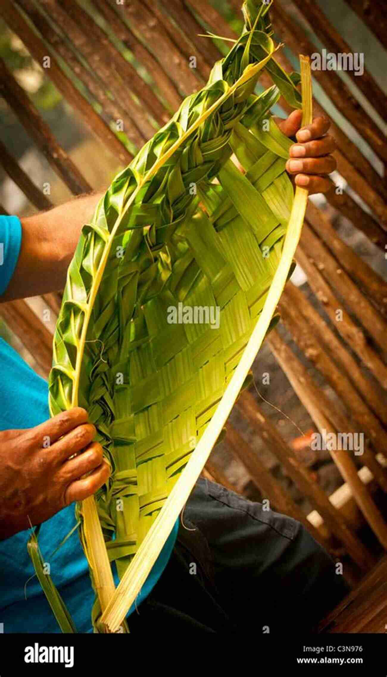 Maui Hatman Style Coconut Palm Basket Weaving A Tradition Passed Down From Generation To Generation Maui Hatman Style Coconut Palm Basket Weaving