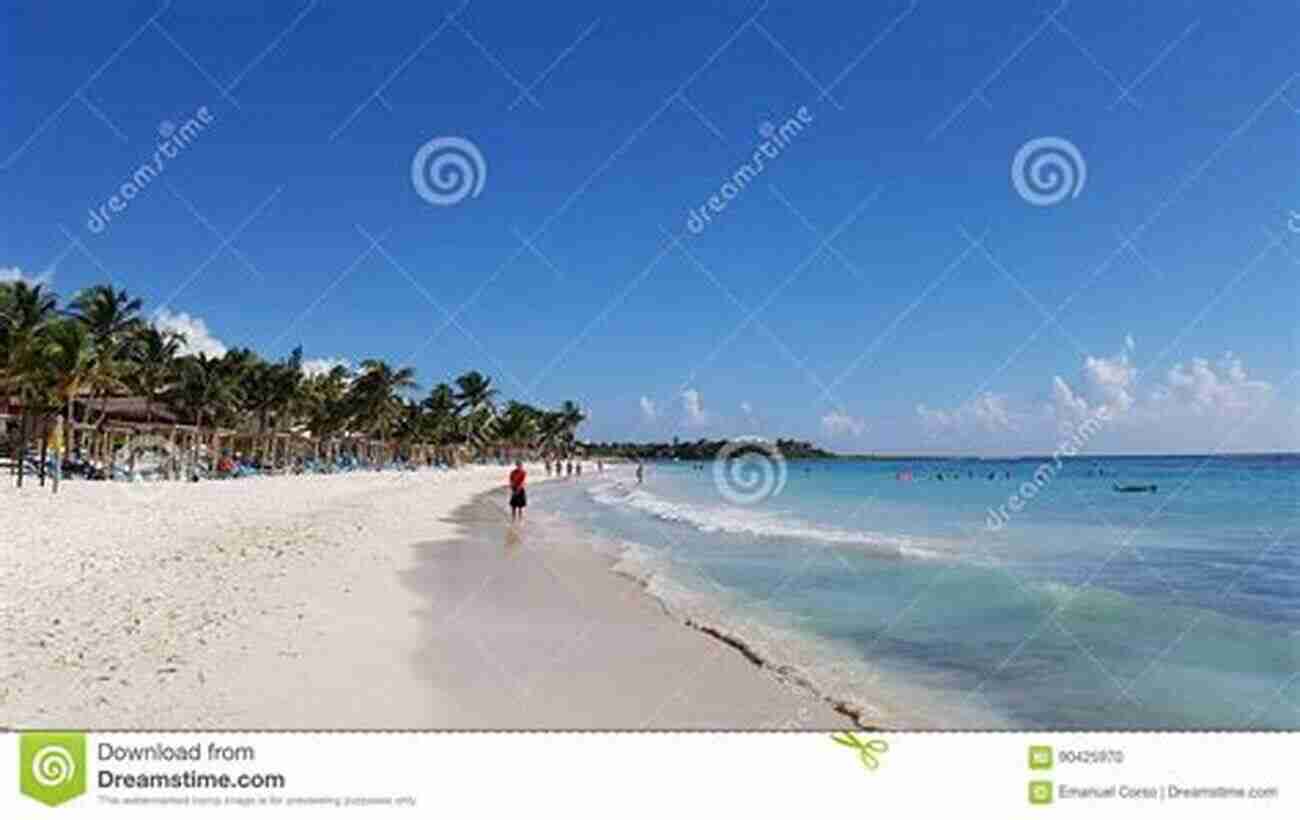 Maya Walking Along The Sandy Path At The Beach Maya Goes To The Beach (Maya S Adventures)