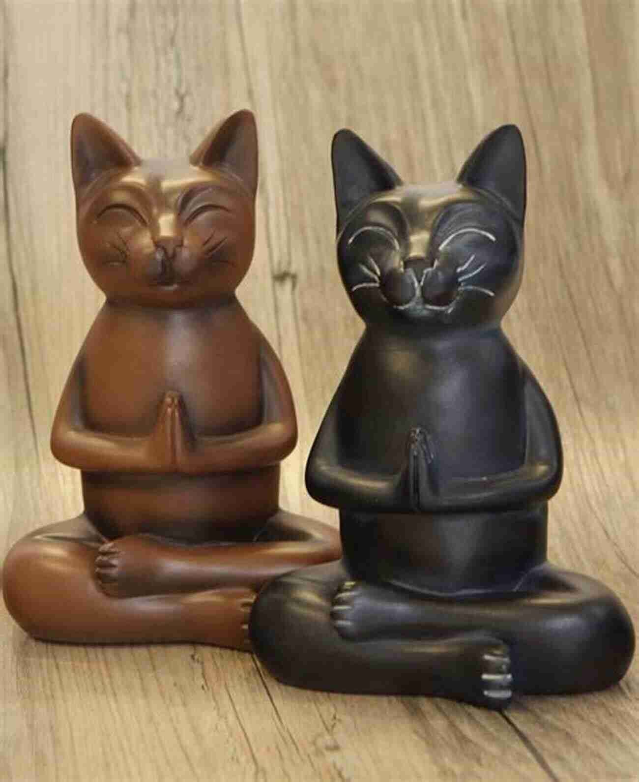 Meditating Cat Zen Cats: Meditations For The Wise Minds Of Cat Lovers (Cat Gift For Cat Lovers)