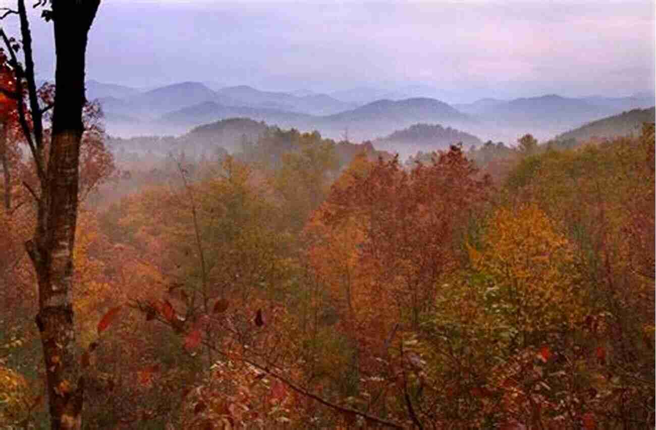 Northeast Mountains Forest And Crag: A History Of Hiking Trail Blazing And Adventure In The Northeast Mountains Thirtieth Anniversary Edition (Excelsior Editions)