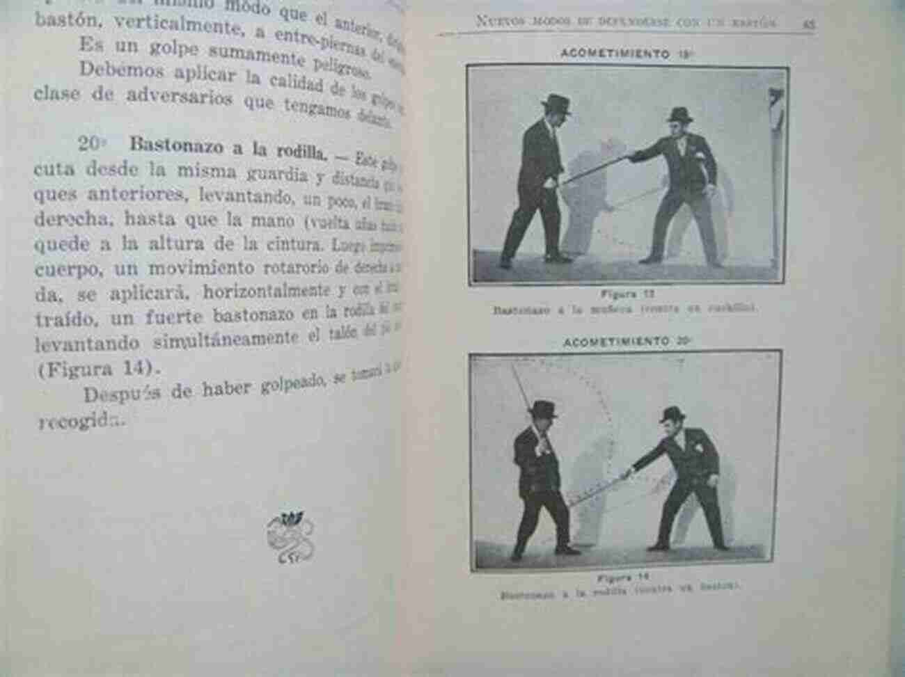 Nuevos Modos De Defenderse En La Calle Con Un Bastón Bonafont Cane Fighting: Nuevos Modos De Defenderse En La Calle Con Un Baston (Translated)