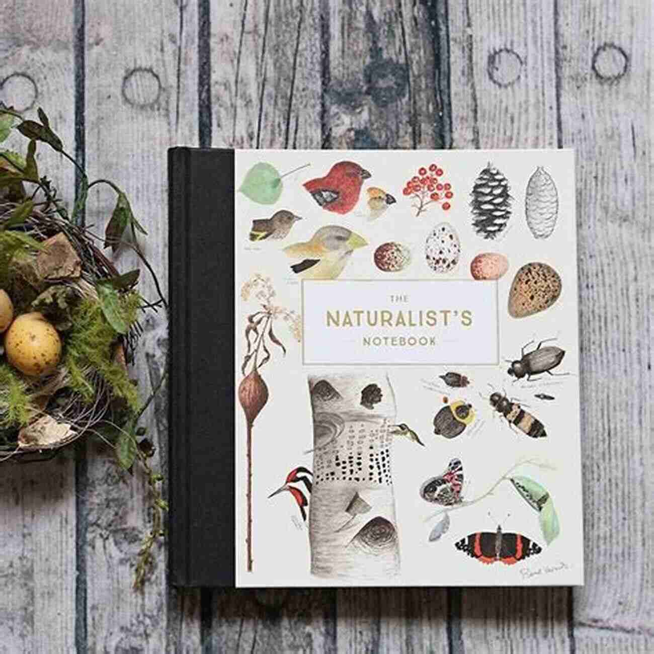 Open Your Eyes To The Wonders Of Nature How To Keep A Naturalist Notebook How To Keep A Naturalist S Notebook