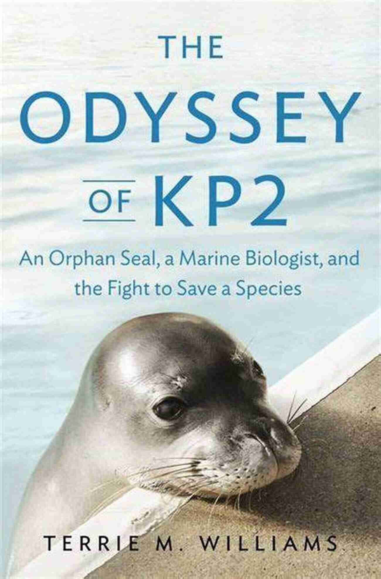 Orphan Seal Being Cared For By A Marine Biologist The Odyssey Of KP2: An Orphan Seal And A Marine Biologist S Fight To Save A Species