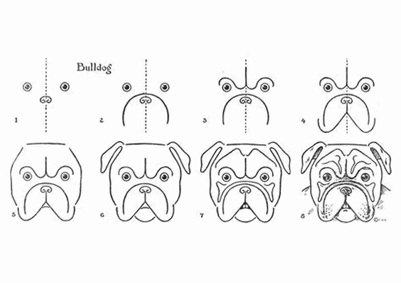 Outlining Bulldog Drawing How To Draw A Bulldog In Six Easy Steps