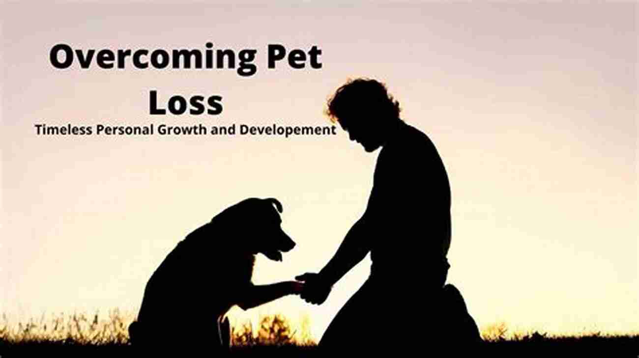 Overcoming Pet Loss With Love And Hope Until We Meet Again From Grief To Hope After Losing A Pet