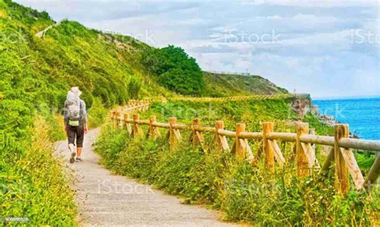 Pilgrims On The Camino Today Call Of The Camino: Myths Legends And Pilgrim Stories On The Way To Santiago De Compostela