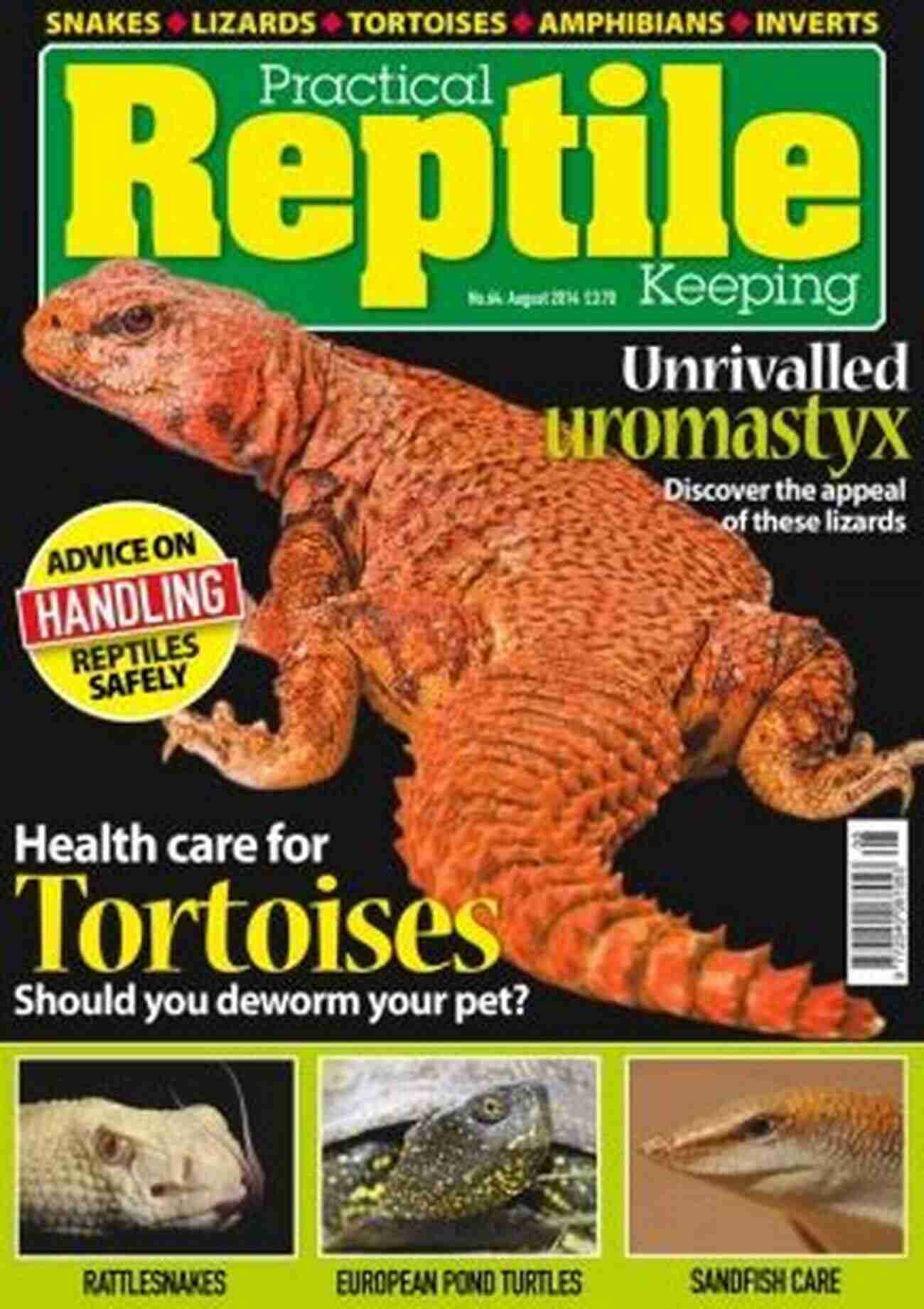 Practical Reptile Keeping August 2014 Cover A Comprehensive Guide For Reptile Enthusiasts Practical Reptile Keeping August 2014