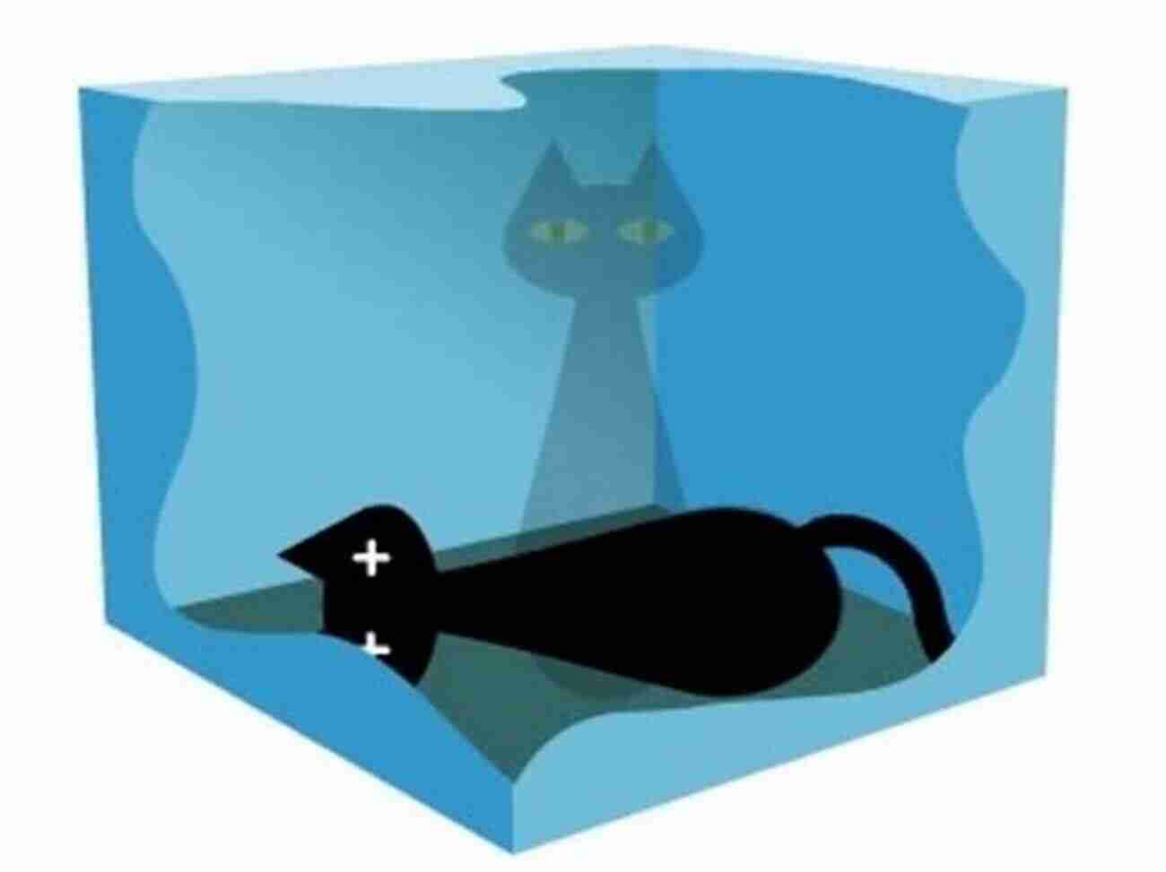 Schrödinger's Cat Quirky Science (Wonders Of Science 1)