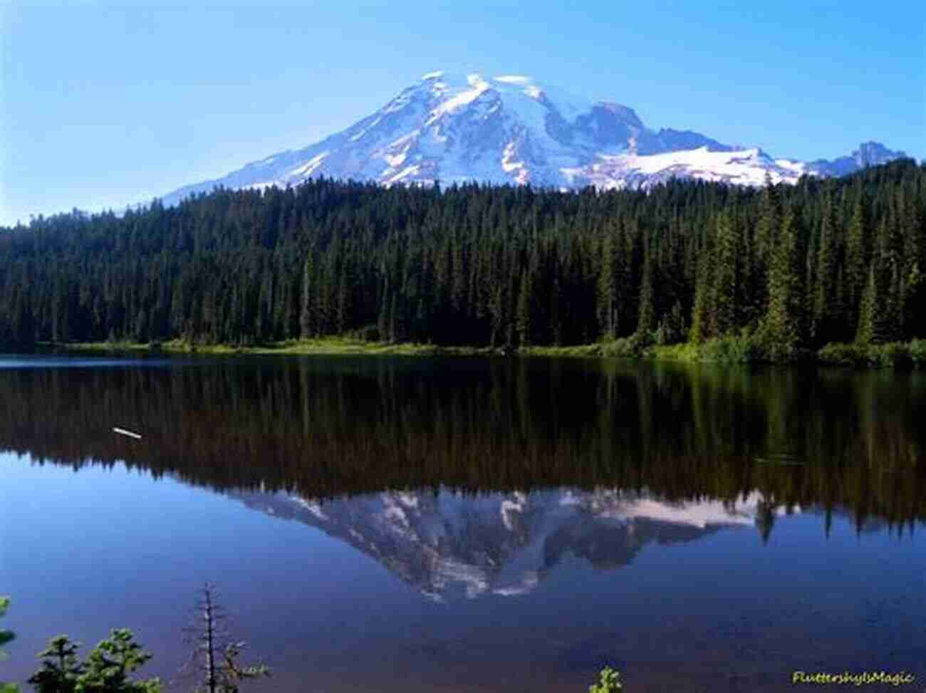 Serene Lakes Of Reflection A Thousand Mile Walk To The Gulf: A Radical Nature Travelogue From The Founder Of National Parks (John Muir: The Eight Wilderness Discovery 2)