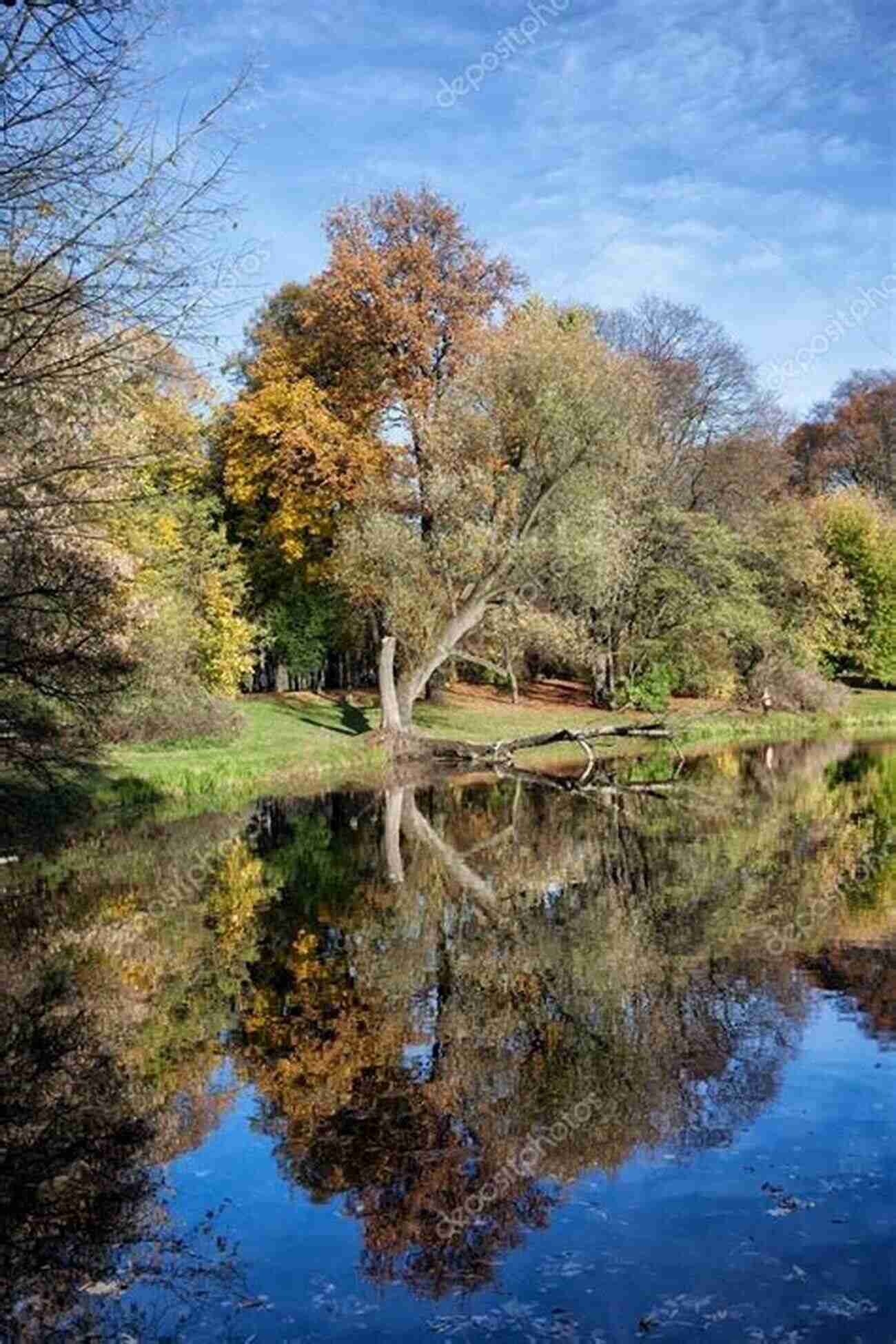 Skaryszewski Park Serene Beauty Amidst The Bustling City Praski S Warsaw Itinerary No 7 (Praski S Itineraries)