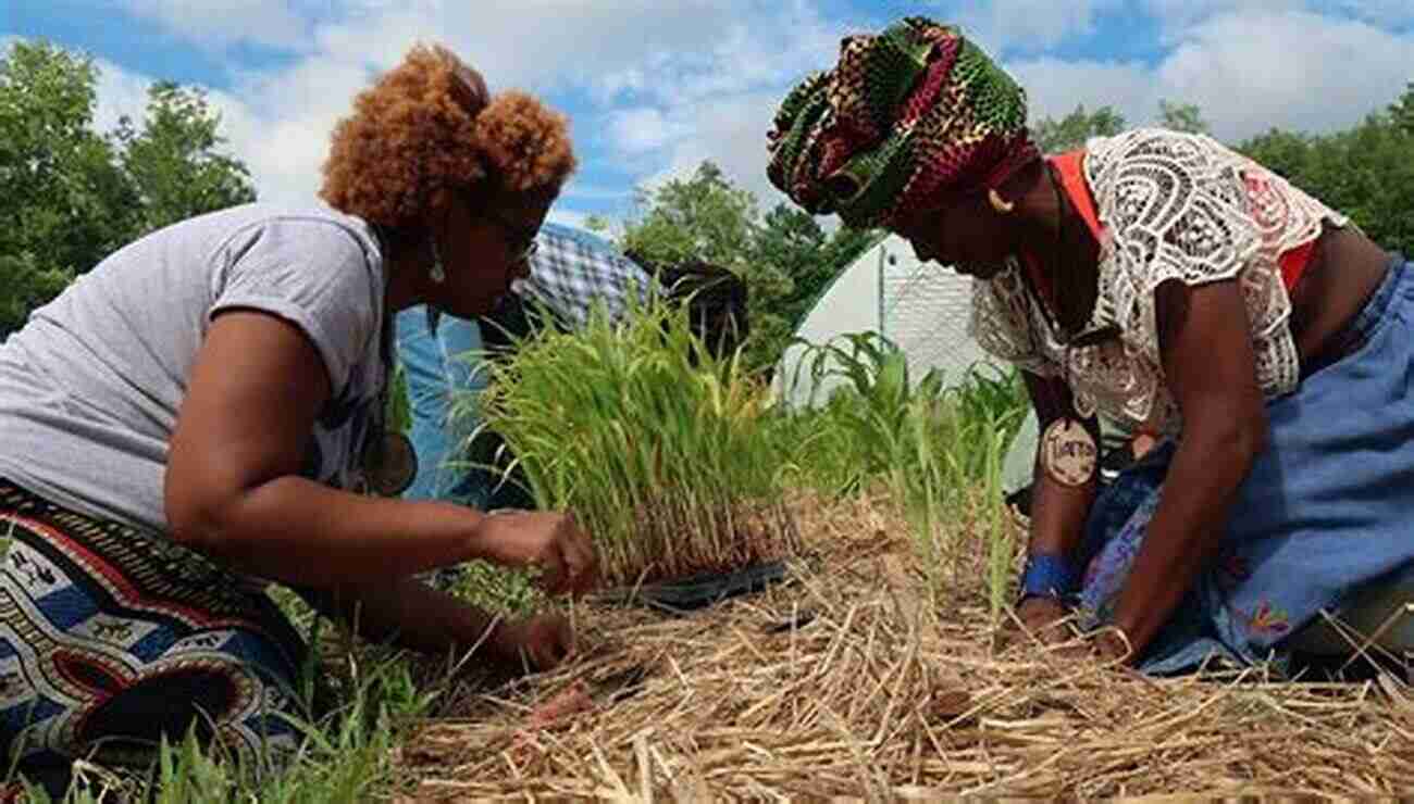 The Daughter Farmer Embracing The Fields With Determination Listen To The Light: The Daughter S A Farmer