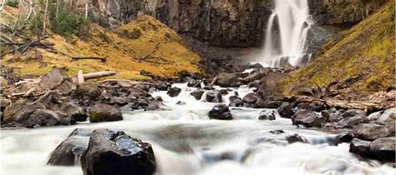 The Importance Of Conservation At Yellowstone National Park Yellowstone National Park: Science Nature