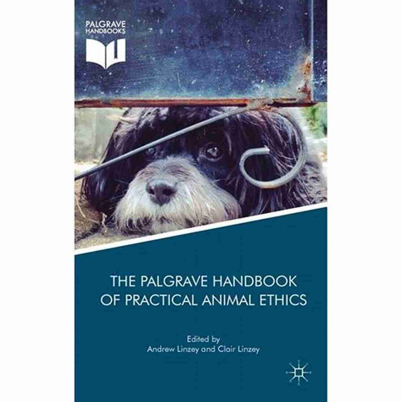 The Palgrave Macmillan Animal Ethics Cover Image The Moral Equality Of Humans And Animals (The Palgrave Macmillan Animal Ethics Series)