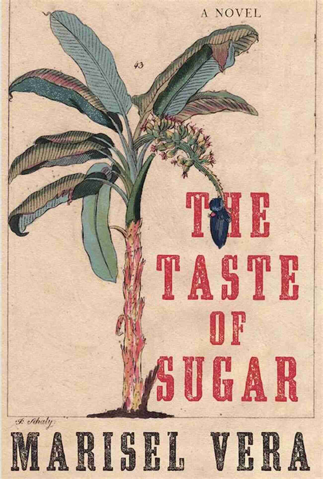 The Taste Of Sugar Novel A Haunting Tale Of Love And Survival Book Cover The Taste Of Sugar: A Novel