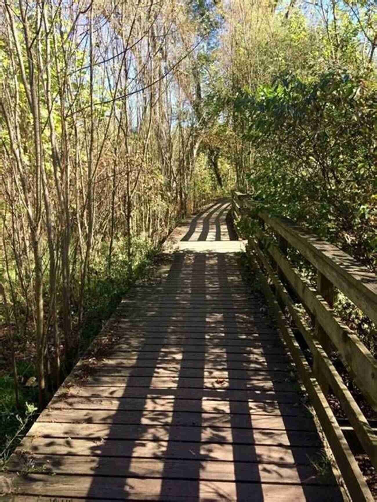 Trail Winding Through The Lush Greenery Of Frick Park Best Hikes Near Pittsburgh (Best Hikes Near Series)