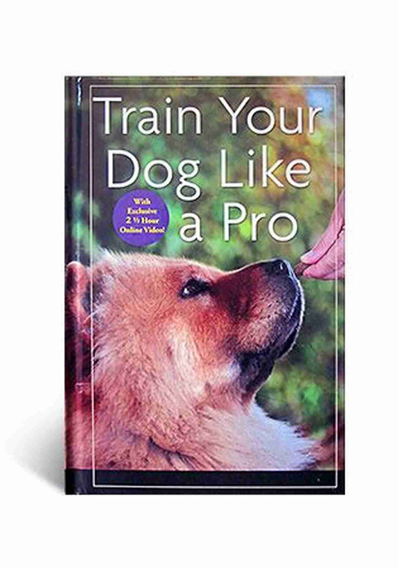 Train Your Dog Like Never Before Service Dog: Training Your Own Service Dog: Step By Step Guide To An Obedient Service Dog (Revised 2nd Edition ) (Book 1)