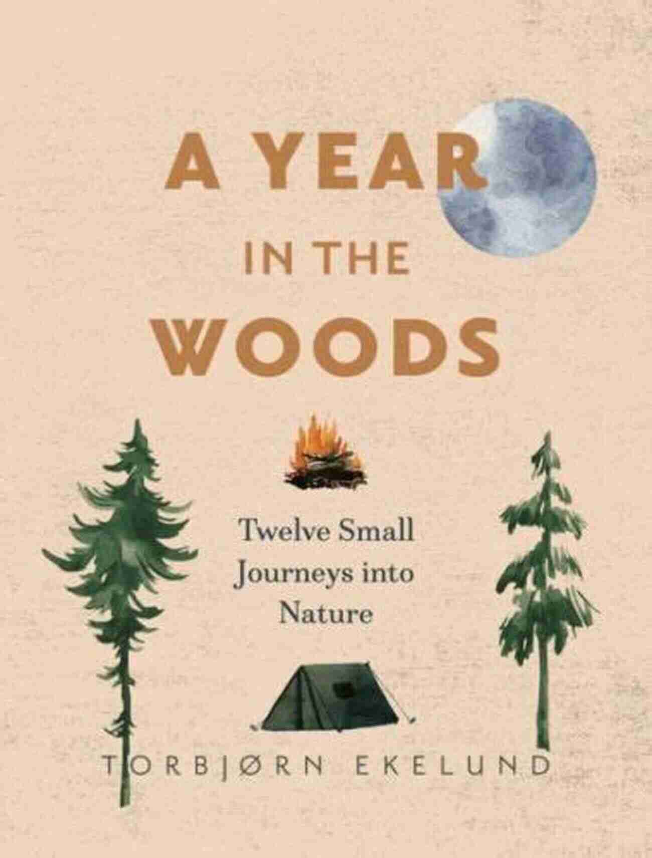 Twelve Small Journeys Into Nature A Year In The Woods: Twelve Small Journeys Into Nature