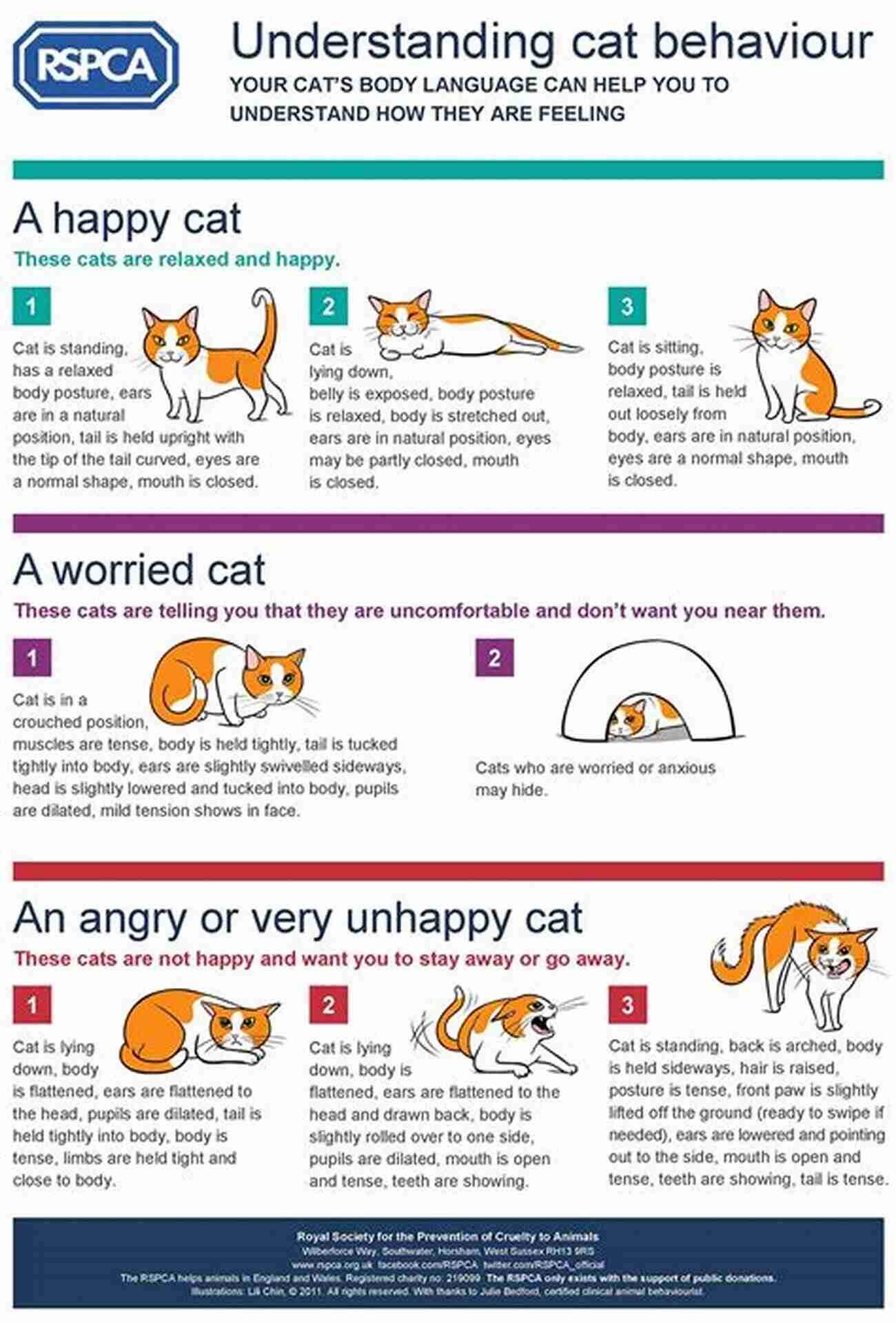 Understanding Animal Behavior And Habitat: The Key To Successful Trapping The Science Of Trapping: Old Time Lessons On Catching Animals For Fur