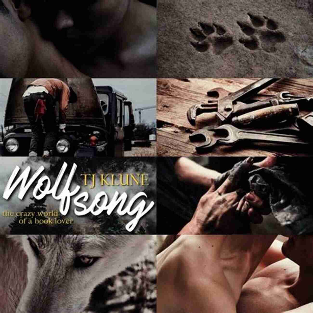 Wolfsong Last Chapter World A Verbal Tapestry Jonathan: Wolfsong S Last Chapter: A Story Of Love And Loss (Wolfsong Books)