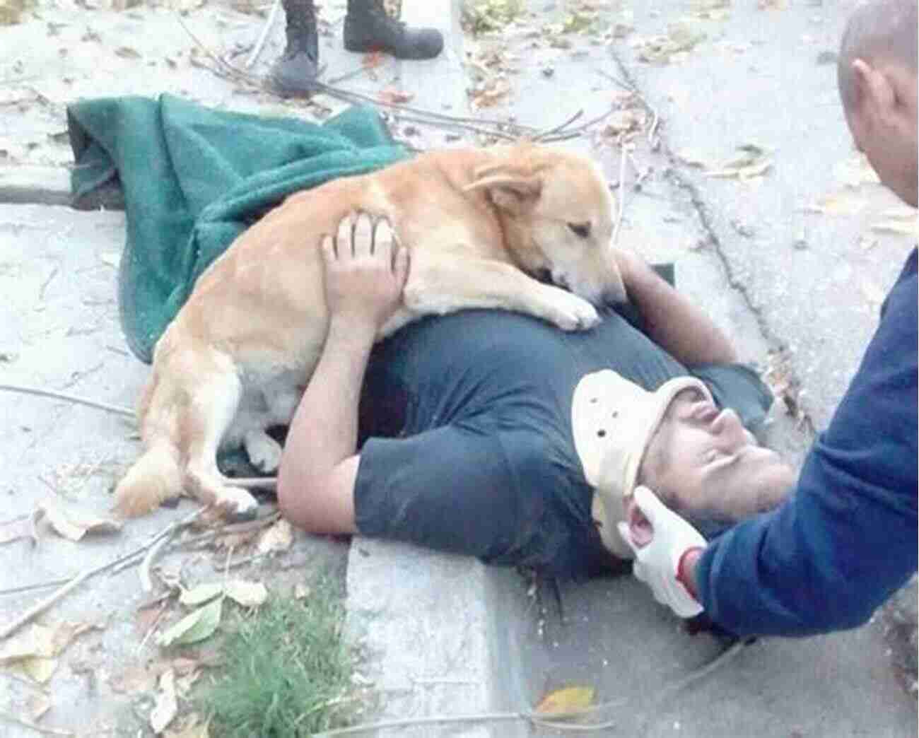 A Picture Of A Dog Owner Hugging His Loyal Companion, Max Where S Daddy? : A Dog Owner S Journey Of Loss And Found And Found Again