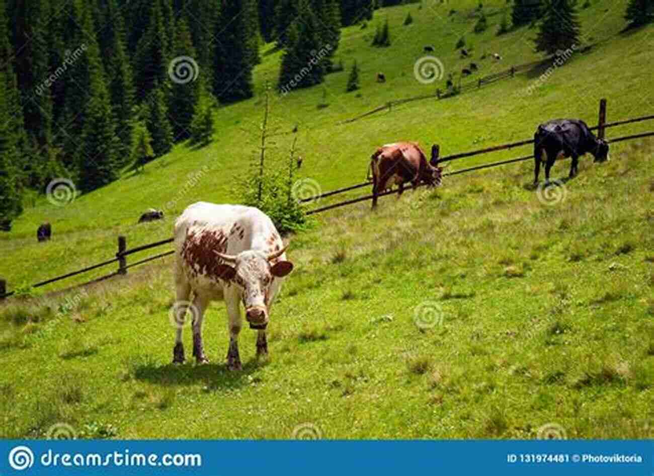 Beautiful Brown Cow Grazing In A Lush Green Field Farm Animals: The Farmer S Favorite