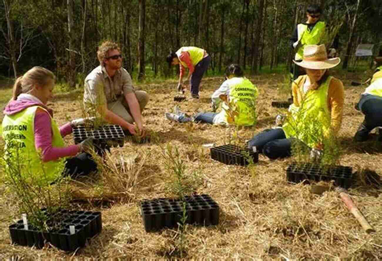 Bird Conservation Volunteers Planting Trees Let S Learn: Birds David Gough