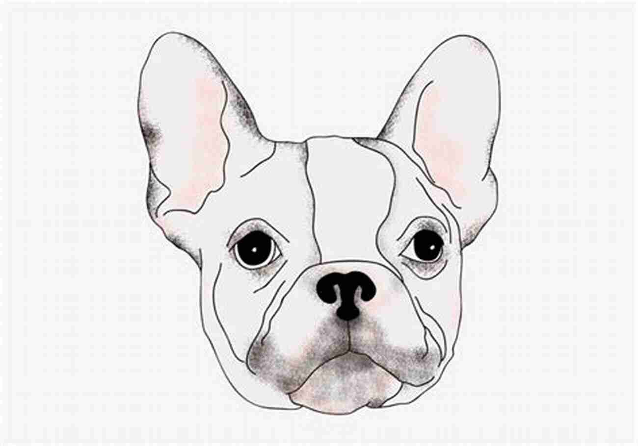 Finalized And Colored Bulldog Drawing How To Draw A Bulldog In Six Easy Steps