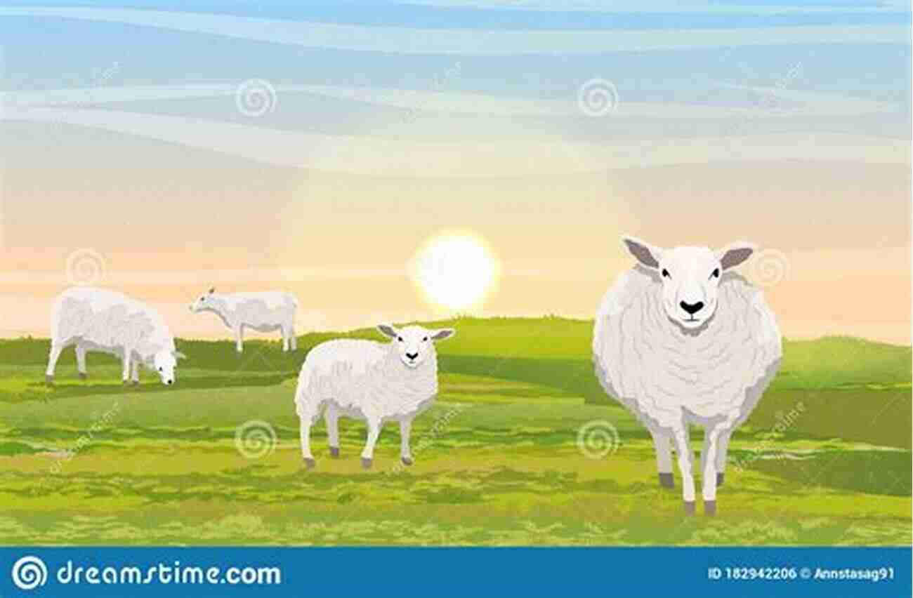 Fluffy White Sheep In A Picturesque Meadow Farm Animals: The Farmer S Favorite