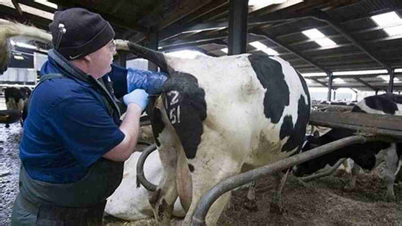 Long Descriptive Keyword: Artificial Insemination And Fertility In Dairy Cows Farm Management ARTIFICIAL INSEMINATION AND FERTILITY IN DAIRY COWS (Farm Management)