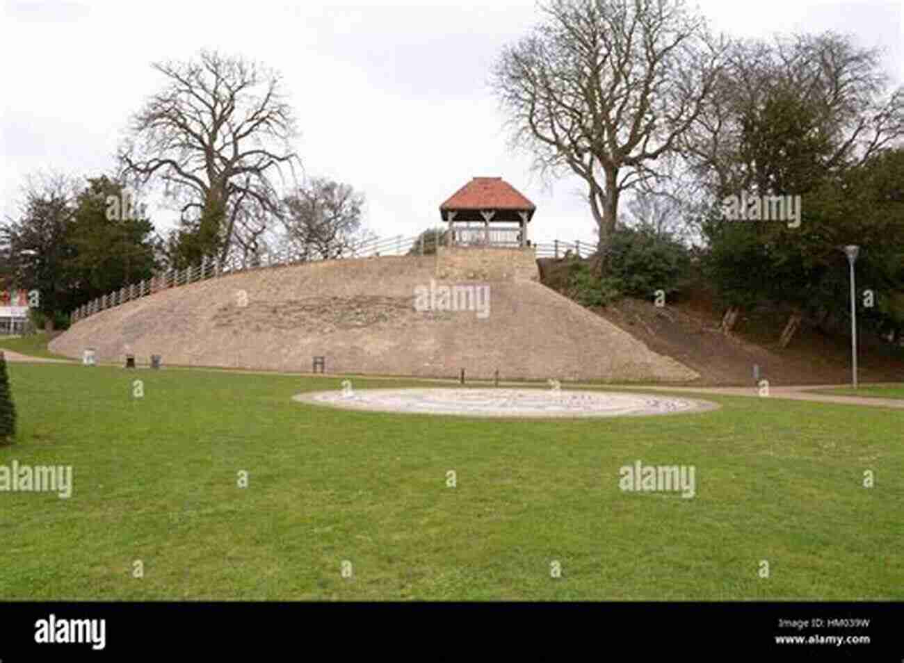 Remains Of Bedford Castle Radical Reconstruction: A Brief History With Documents (Bedford In History And Culture)