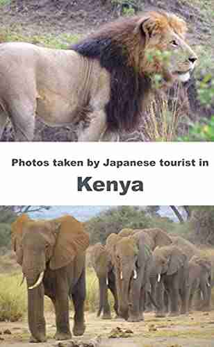 Photos Taken By Japanese Tourist In Kenya