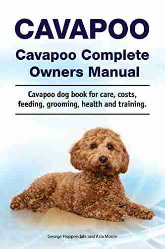 Cavapoo Cavapoo Complete Owners Manual Cavapoo Dog For Care Costs Feeding Grooming Health And Training