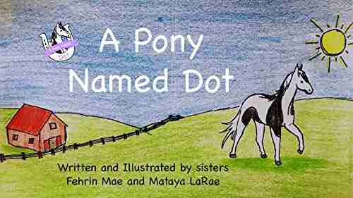 A Pony Named Dot Fehrin Brindley