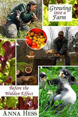 Growing Into A Farm: Before The Walden Effect (Modern Simplicity 4)