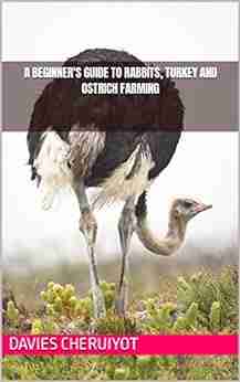 A BEGINNER S GUIDE TO RABBITS TURKEY AND OSTRICH FARMING (Farm Management)