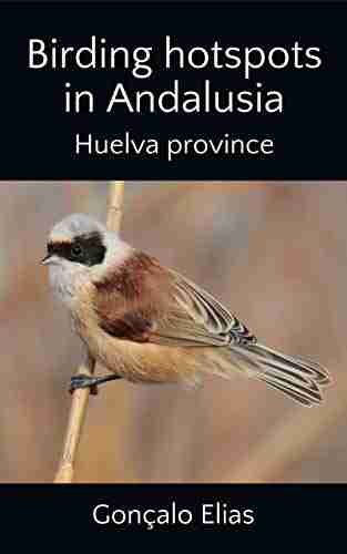 Birding Hotspots In Andalusia: Huelva Province