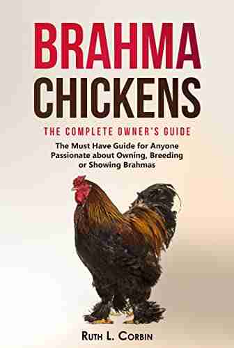 Brahma Chickens The Complete Owner s Guide: The Must Have Guide for Anyone Passionate about Owning Breeding or Showing Brahmas