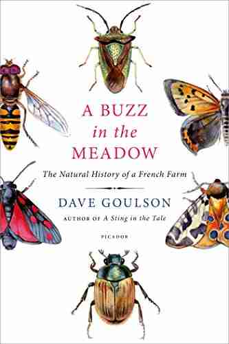 A Buzz In The Meadow: The Natural History Of A French Farm