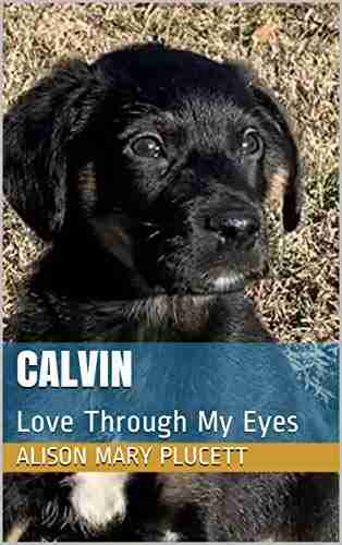 Calvin: Love Through My Eyes