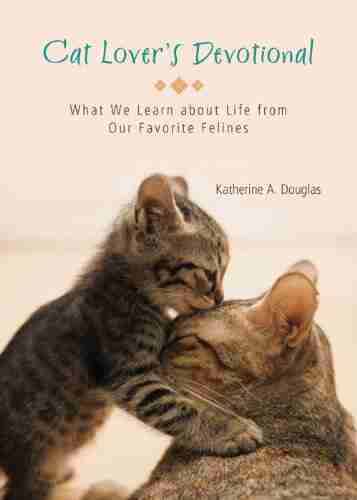 Cat Lover s Devotional: What We Learn about Life from Our Favorite Felines