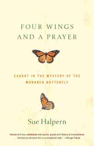 Four Wings And A Prayer: Caught In The Mystery Of The Monarch Butterfly