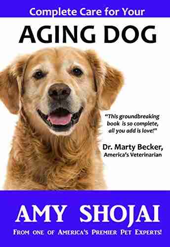 Complete Care For Your Aging Dog