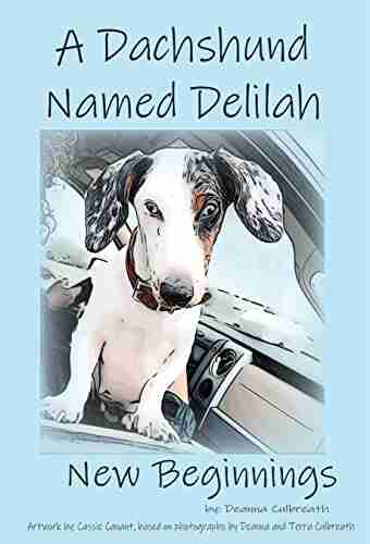 A Dachshund Named Delilah : New Beginnings