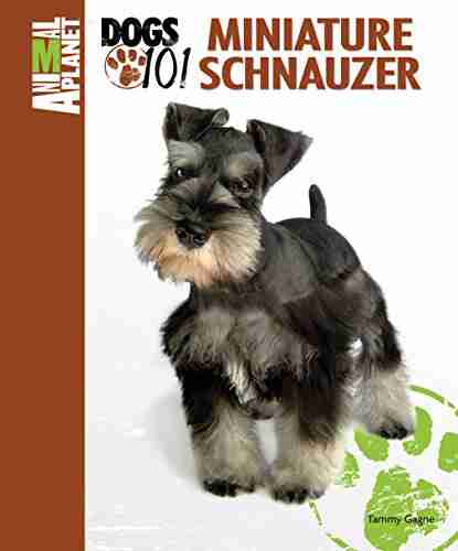 Miniature Schnauzer (Animal Planet Dogs 101)