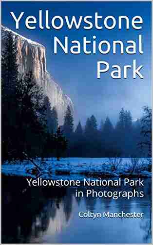 Yellowstone National Park: Yellowstone National Park in Photographs