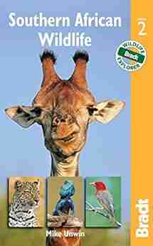 Southern African Wildlife (Bradt Travel Guides (Wildlife Guides))